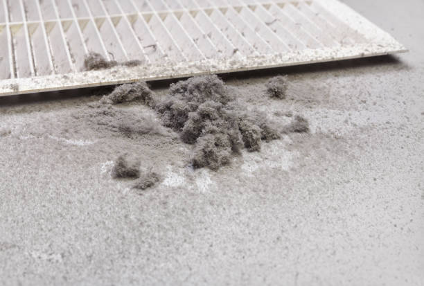 Best Affordable Air Duct Cleaning  in Wamac, IN