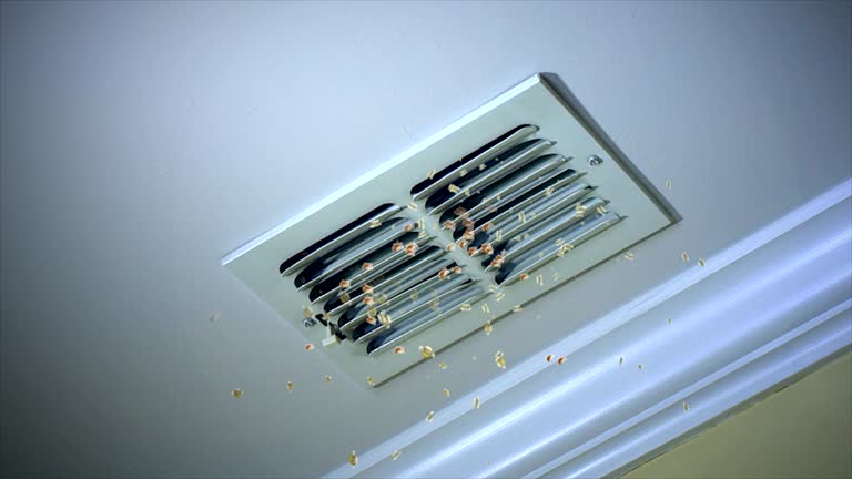 Best Ventilation Cleaning Services  in Wamac, IN