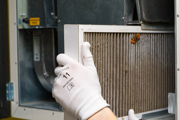 Best Local Air Duct Cleaning Services  in Wamac, IN